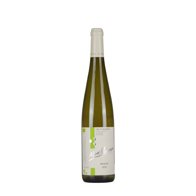 Domaine Albert Maurer "Muscat" Blanc Sec 2016