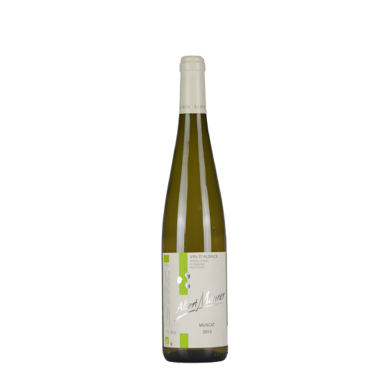 Domaine Albert Maurer "Muscat" Blanc Sec 2016