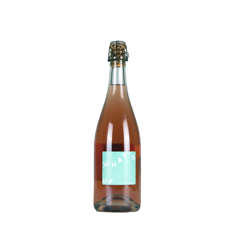Hervé Villemade Pétillant  "What's Up" Rosé 2020