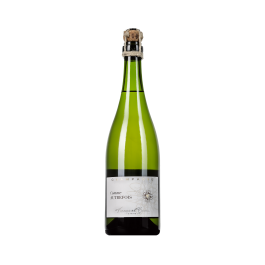 Champagne Françoise Bedel "Comme Autrefois" 2005 Champagne Brut