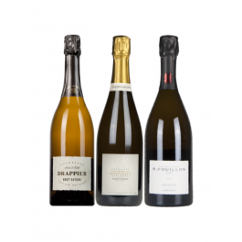 Coffret Cadeau Champagne de Vignerons "Box 3 Bouteilles"
