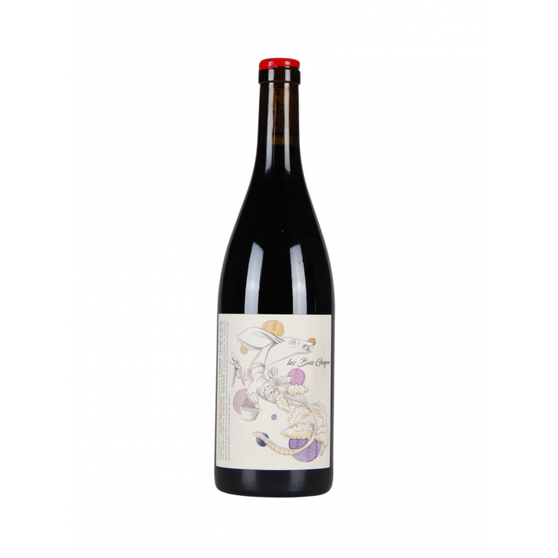 Domaine François Saint-Lô "Le Bois Guyon" Rouge 2019