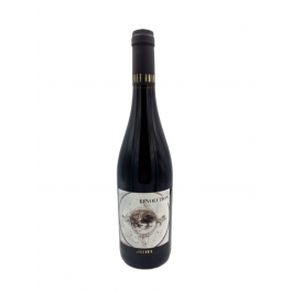 Domaine Le Fief Noir "Révolution" Rouge 2020