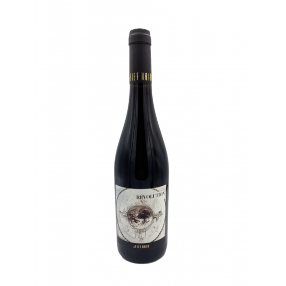 Domaine Le Fief Noir "Révolution" Rouge 2020