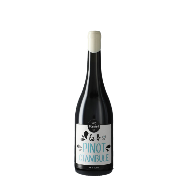 Domaine Tony Bornard "Le Pinotctambule" Rouge 2020
