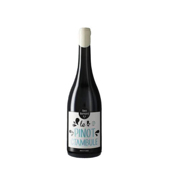 Domaine Tony Bornard "Le Pinotctambule" Rouge 2020