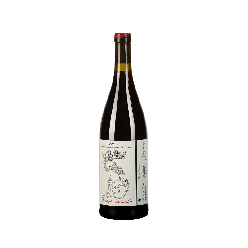 François Saint-Lô "Hey Gamin" Rouge Magnum 2015