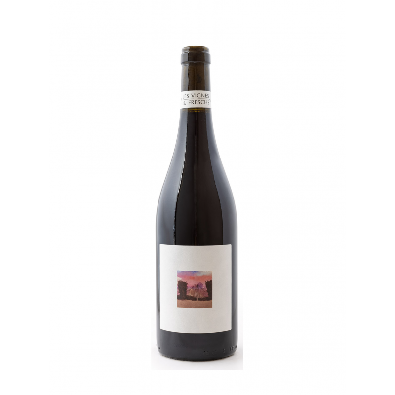 Les Vignes du Fresche "Radicalement" IGP Val de Loire rouge 2022