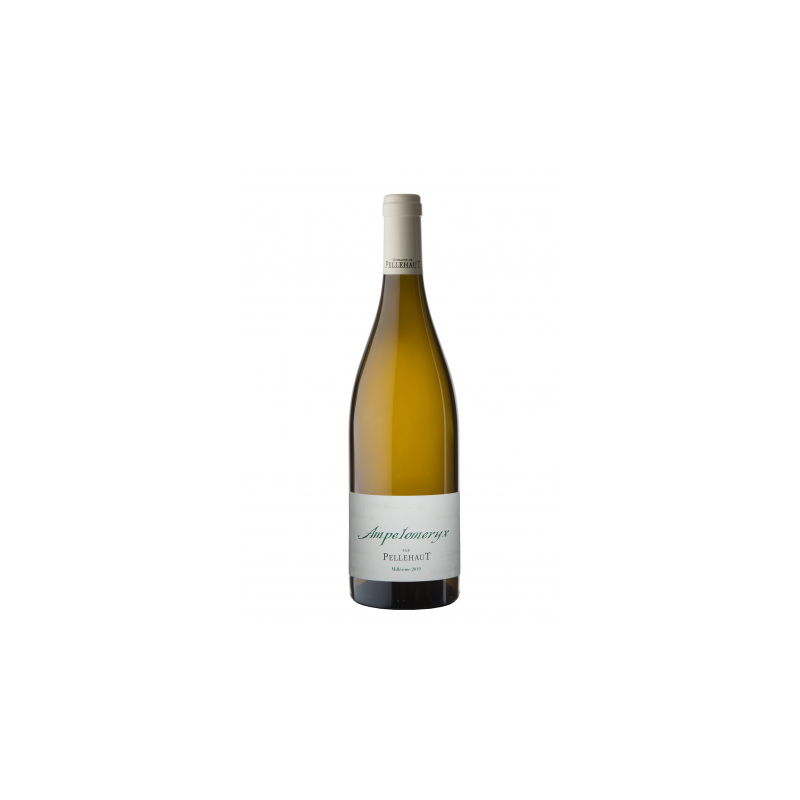 Domaine de Pellehaut "Ampelomeryx" blanc 2022