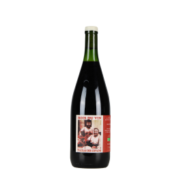 Domaine Benjamin Taillandier "Bois du Vin T'auras des Copains" Rouge 2020