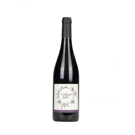 Domaine du Bout du Monde "L'échappée Belle" Rouge 2022