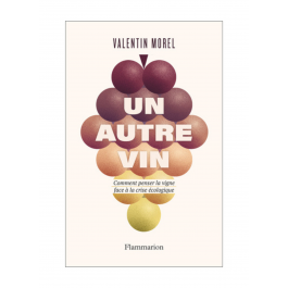 Livre "Un Autre Vin " Valentin Morel