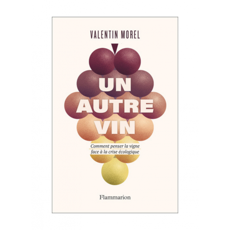 Livre "Un Autre Vin " Valentin Morel