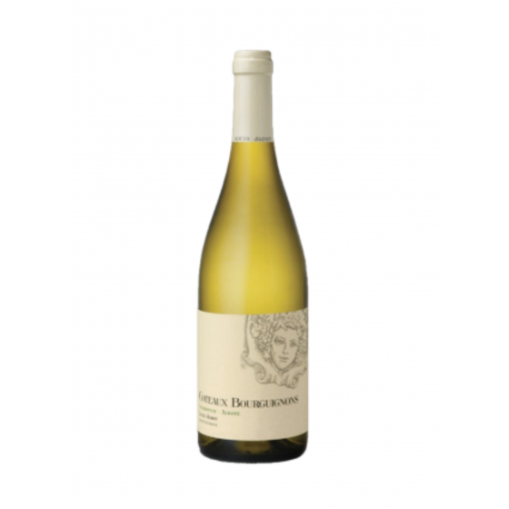 Domaine Louis Jadot "Coteaux Bourguignons" Blanc sec 2022