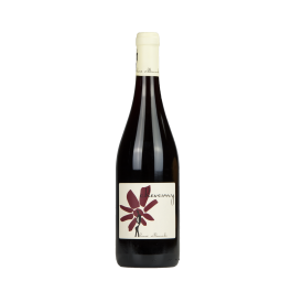 Hervé Villemade "Cheverny" Rouge Magnum 2022