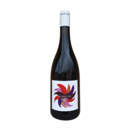 Château Plaisance Penavayre "Cosmopotes" Rouge 2023