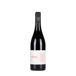Domaine Benjamin Taillandier "Bufentis" Rouge 2022