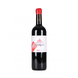 Domaine Les beauttés de Castigno "Terra Casta" Rouge 2023