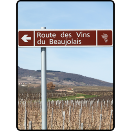 Vins primeurs le 19 novembre 2026