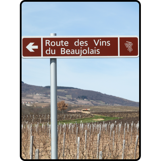 La Cave Spirituelle organise une dégustation de Vins Primeurs le 19 novembre 2026
