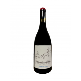 Champagne Ruppert "Coteaux champenois" vin Rouge 2020