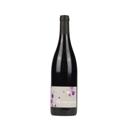 Terres Promises "A ma guise" Magnum Rouge 2024
