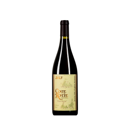 Domaine Bernard Burgaud  Rouge 2022