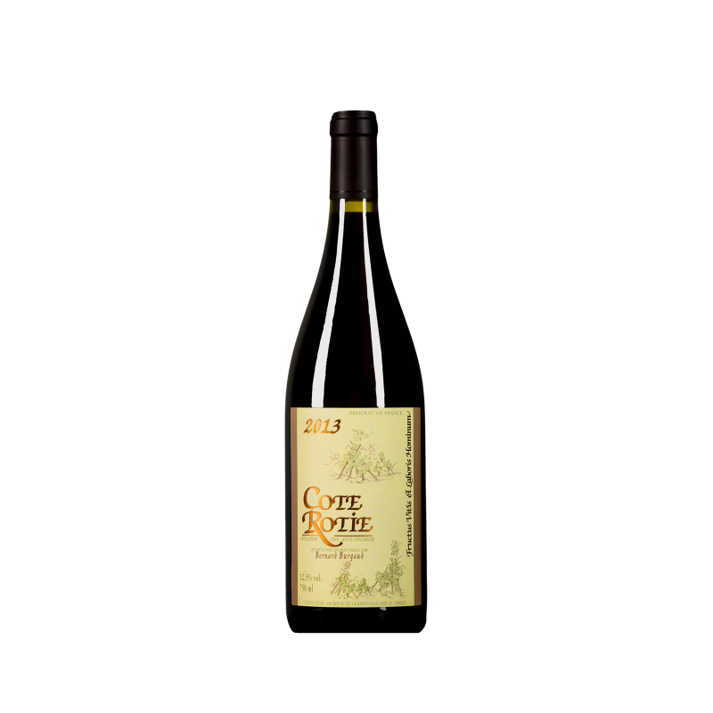 Domaine Bernard Burgaud  Rouge 2022