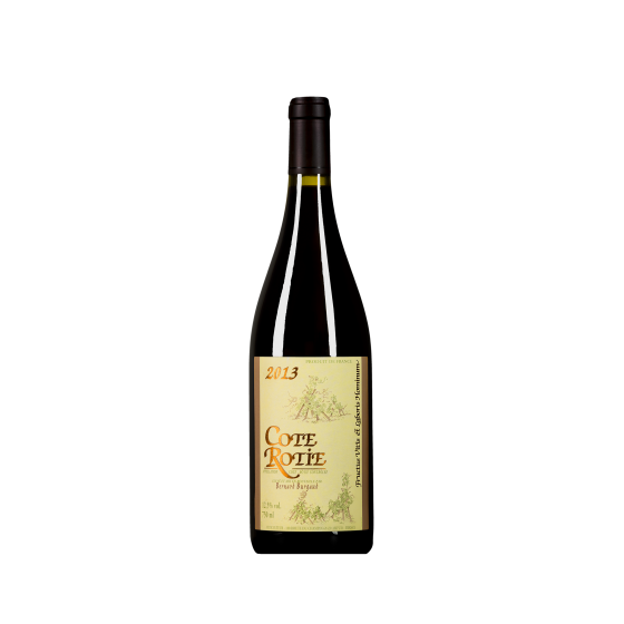 Domaine Bernard Burgaud  Rouge 2022