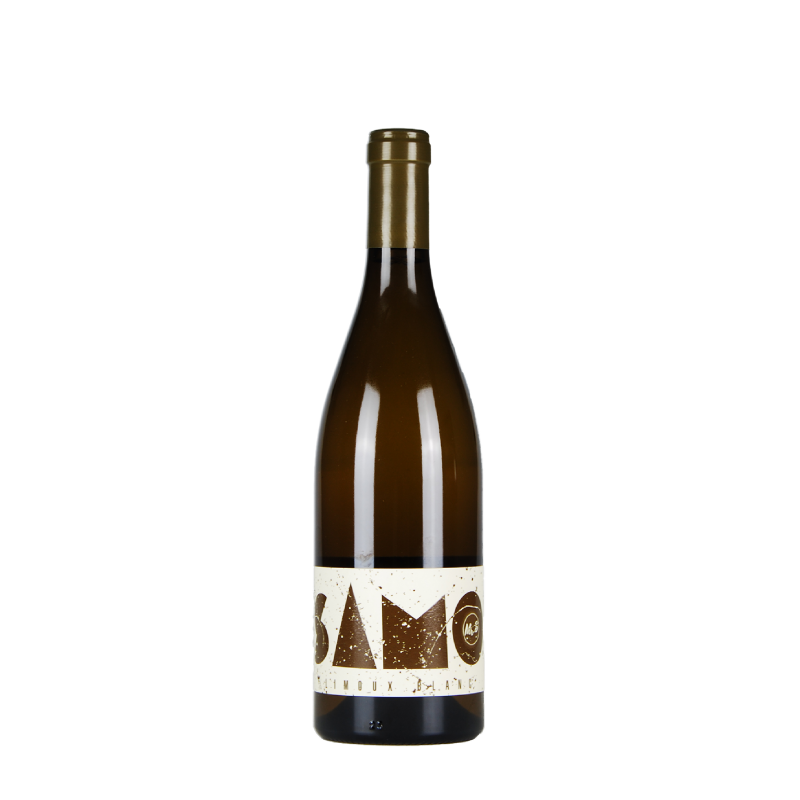 Monsieur S "Samo" Blanc Sec 2023
