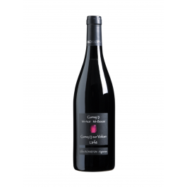 Domaine Les Vins de la Madone "Gamay's sur Volcan" IGP Urfé Rouge  2023