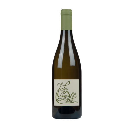 Les Vignes Oubliées Blanc Sec 2023