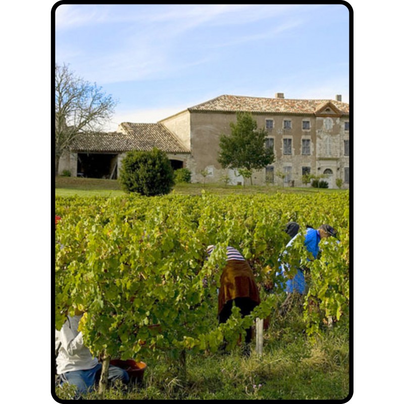 INITIATION - les vieux millésimes le 22 janvier 2026