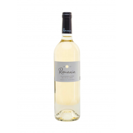 Le Mas de Romanin Alpilles Blanc Sec 2024