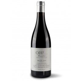 Domaine Yann Bertrand "Oh !..." Rouge 2024