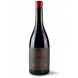 Domaine Yann Bertrand "Coup de Foudre" Rouge 2023