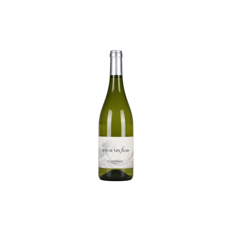 Domaine Luc Lapeyre Avis de vin frais 0,75L - 2024