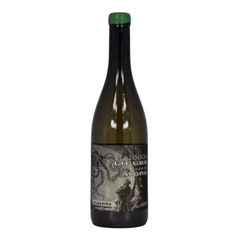 Château Combel la Serre "20 000 lieues sous les mers" blanc Magnum 2024