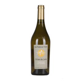Domaine Les Pieds sur Terre "Chardonnay Trouillots" Blanc Sec 2021