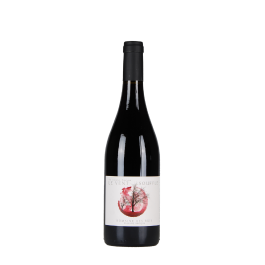 Domaine Des Buis "De Toute Façon Le Vent Souffle" Magnum Rouge 2022