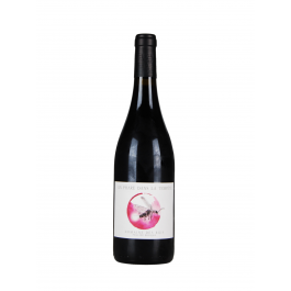 Domaine Des Buis "Un phare dans la tempête" Rouge 2023