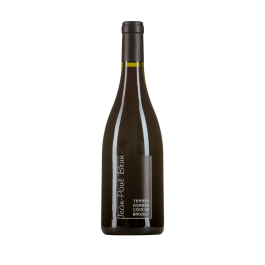 Domaine Jean Paul Brun "Côte de Brouilly" Rouge 2022