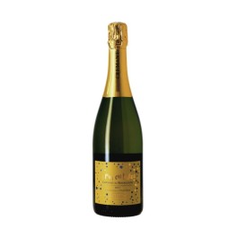 Domaine Anne Gros " La Fun en Bulles" Crémant de Bourgogne