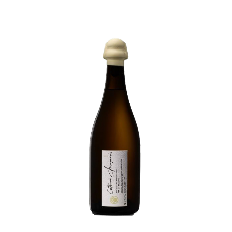 Champagne Fleury "Coteaux Champenois" Brut 2020