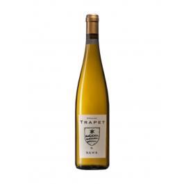 Domaine Trapet  R.Q.W.R "S" Riquewihr Riesling Blanc sec 2024