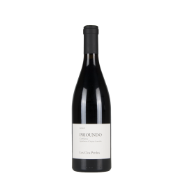 Clos Perdus "Prioundo "Rouge 2021