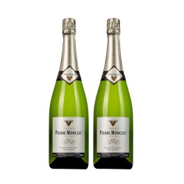 Coffret Cadeau Champagne duo Blanc de Blancs 2 bouteilles