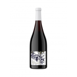 Mas Foulaquier "Into the White" Blanc Sec 2025
