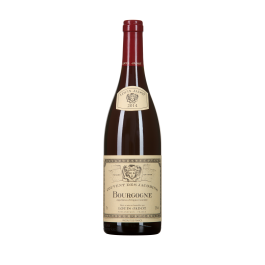 Domaine Louis Jadot "Couvent des Jacobins" Magnum Rouge 2023