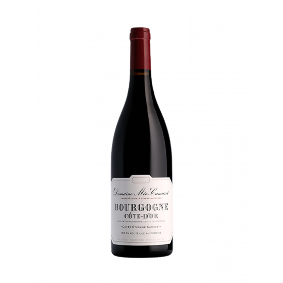 Domaine Meo Camuzet Vin Rouge 2023, Etienne Camuzet, Appellation